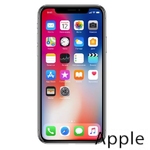 Ремонт iPhone X(10) в Калуге